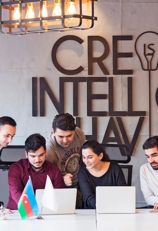 creative-designers-team-working-project_114579-2815